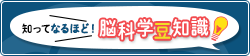 知ってなるほど！脳科学豆知識